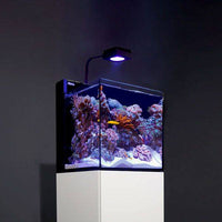 Thumbnail for Red Sea MAX NANO Cube Complete Reef System 20 gal - Black